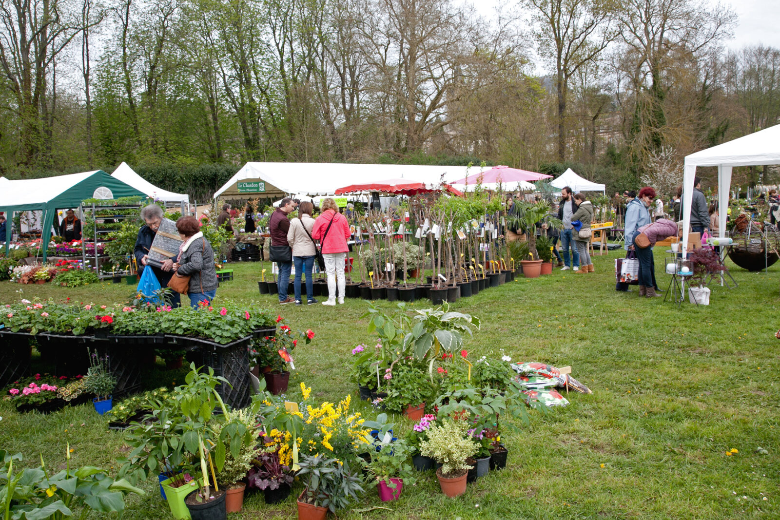 fete des plantes a montfort l'amaury 2019